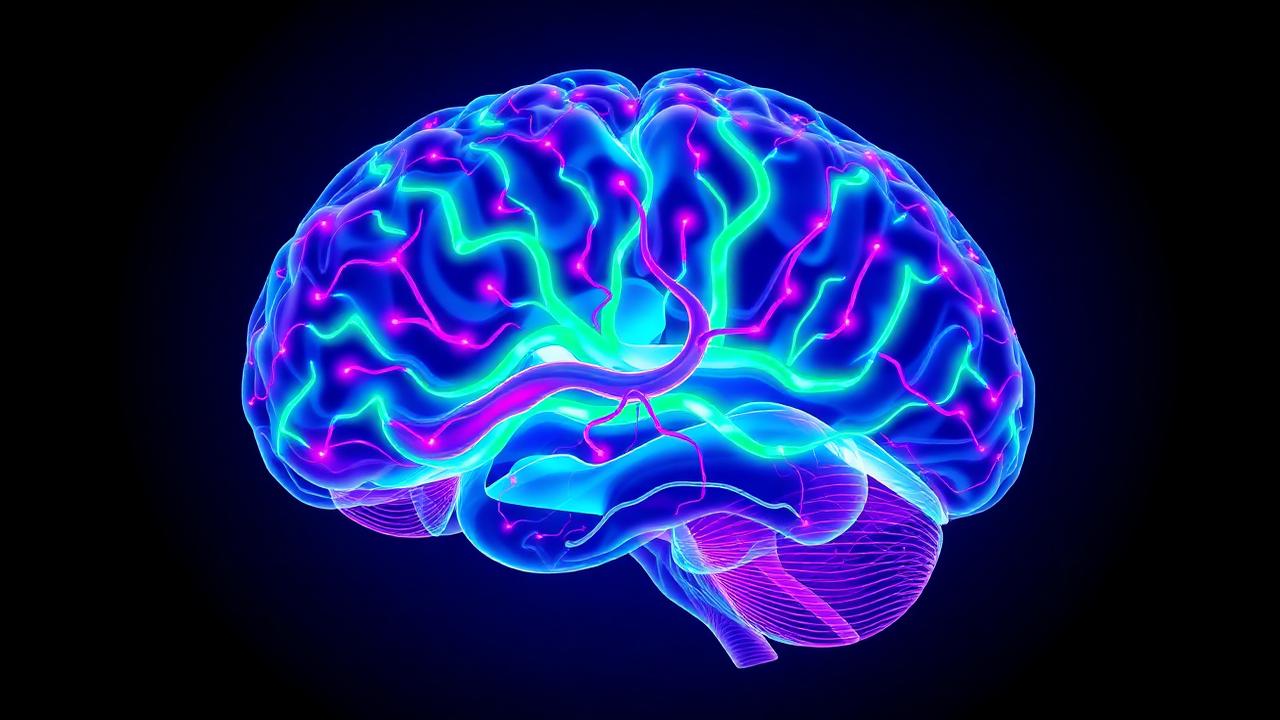 ADHD Neuroscience in 2026: what we actually know now